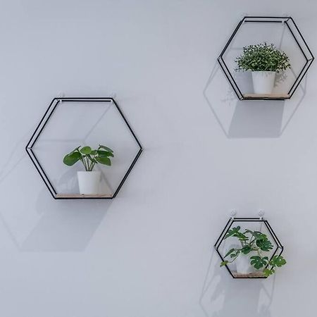 볼로냐 Sotto Le Due Torri 5* 아파트 외부 사진
