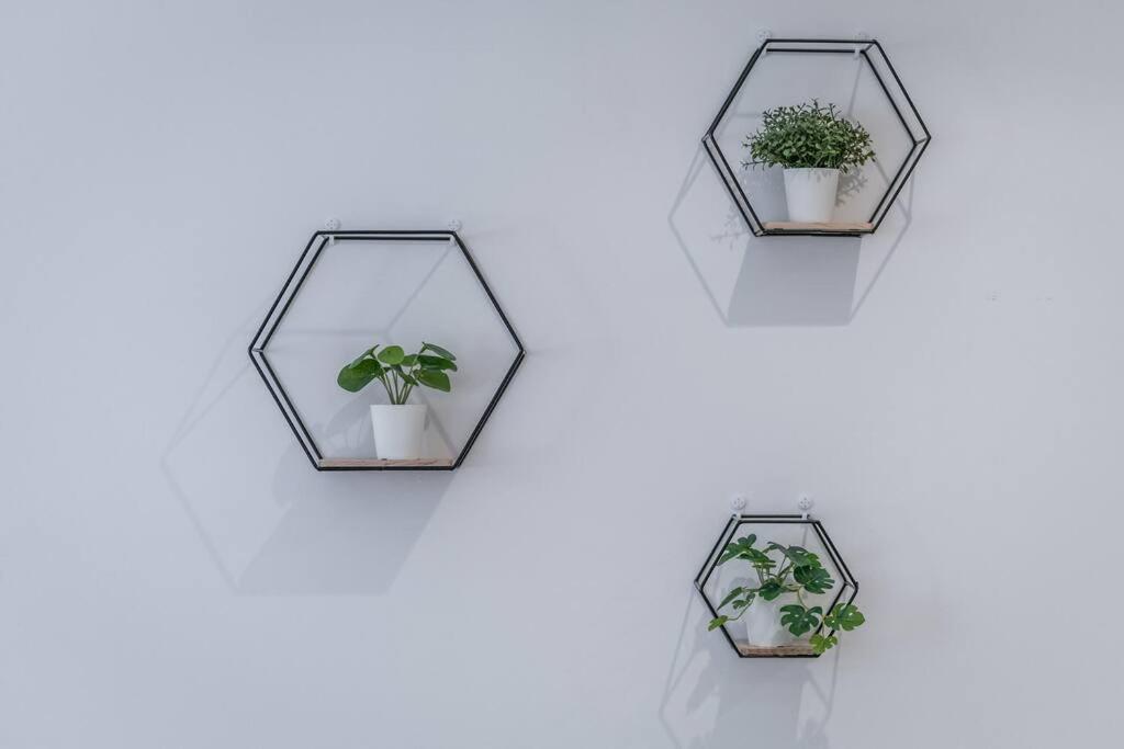 볼로냐 Sotto Le Due Torri 5* 아파트 외부 사진